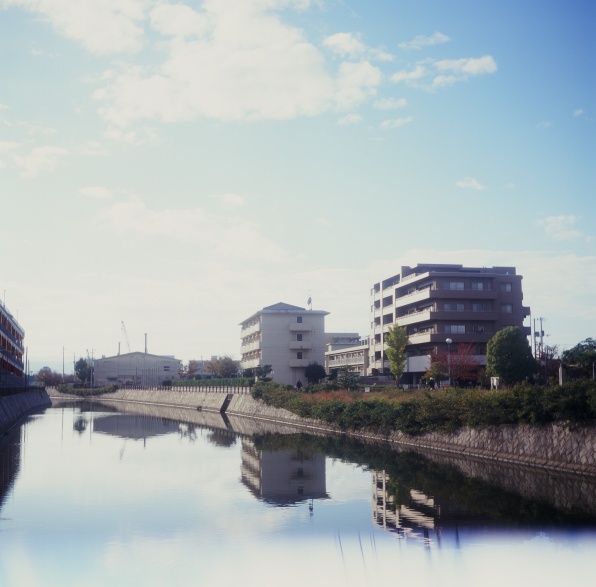 Yashima, Japan. Rolleiflex. 2014. Kodak E100G Expired.